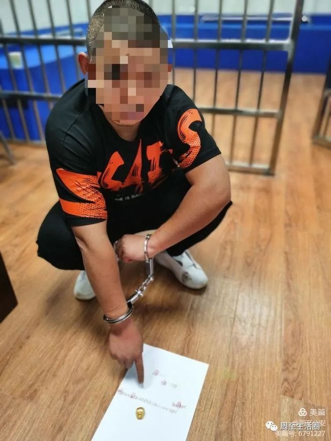 周至新闻偷手机周至新闻最新消息