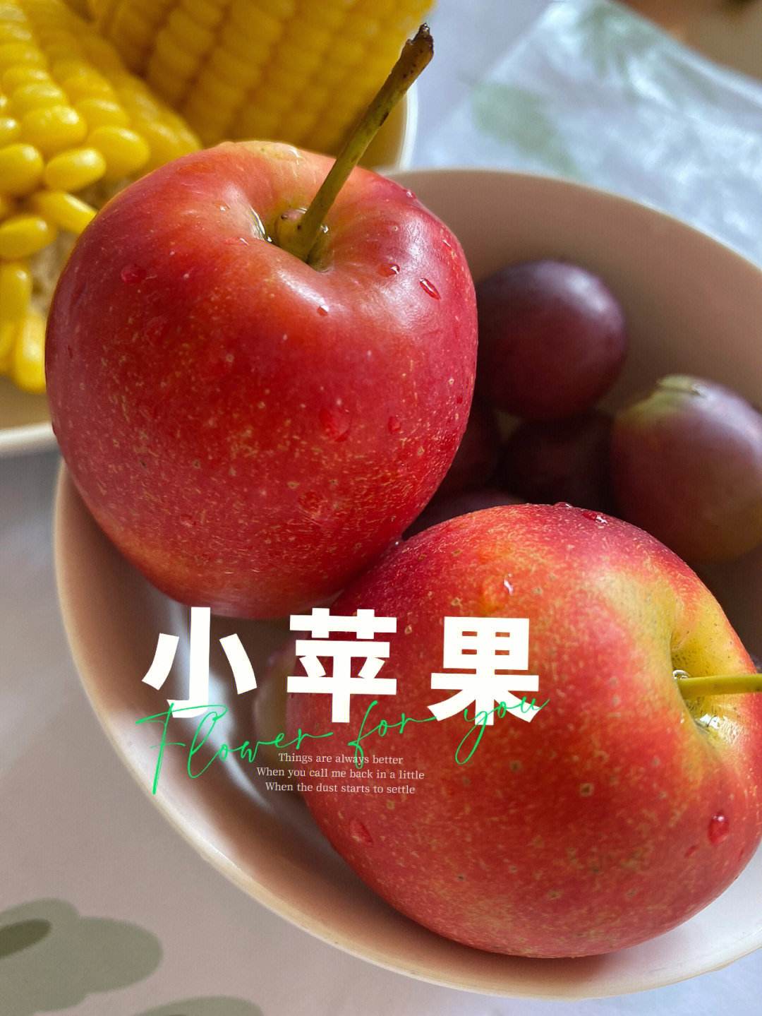 小苹果悲伤版小苹果电视官网-第2张图片-太平洋在线下载