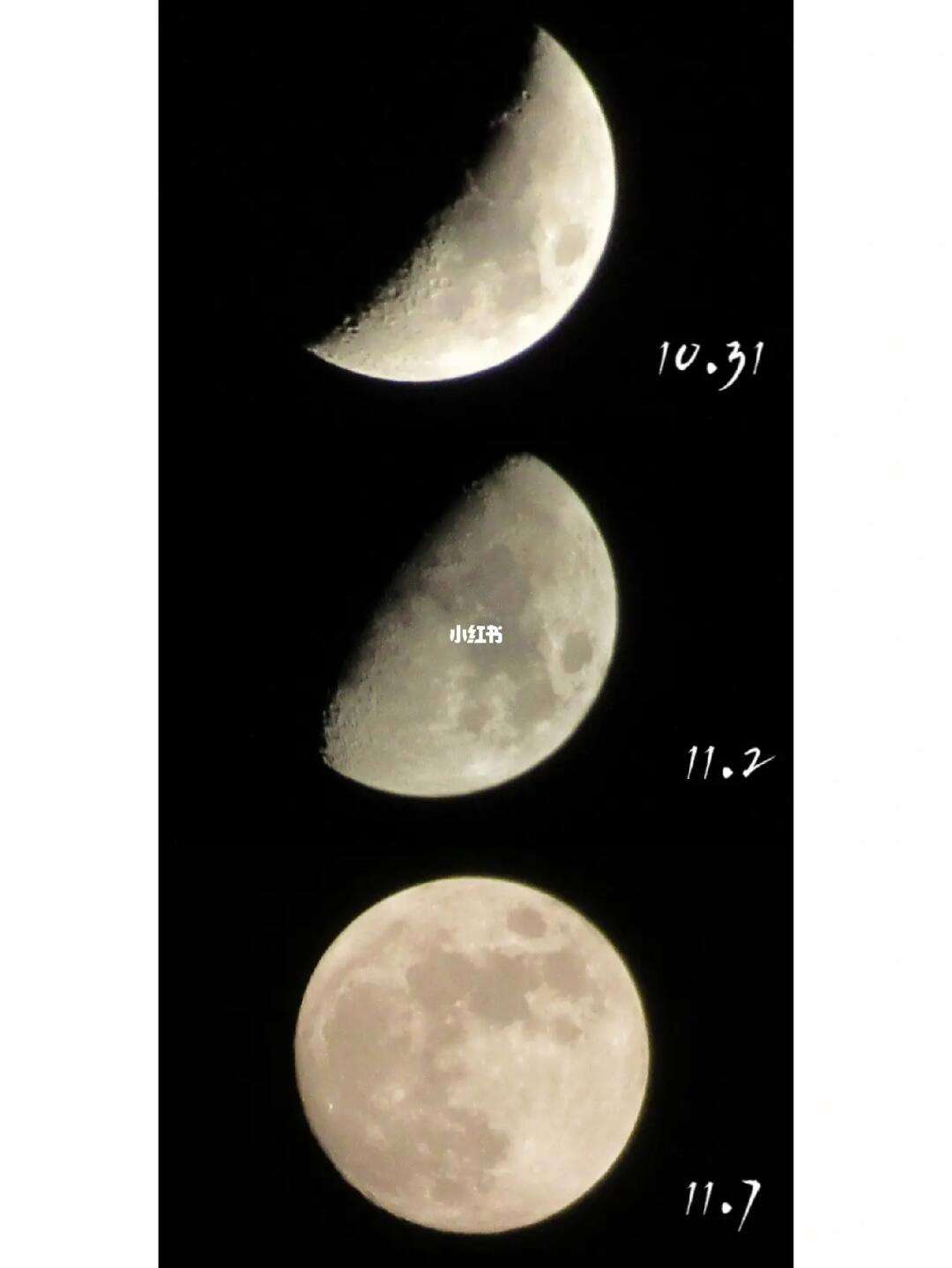 观察月亮app苹果版免费影视ios版苹果版下载