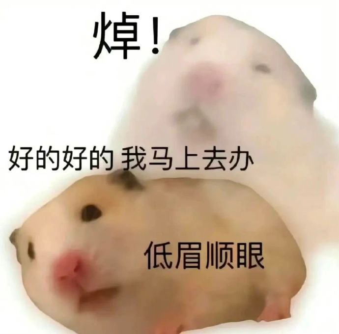 仓鼠表情包手机版惊恐仓鼠表情包原图-第2张图片-太平洋在线下载