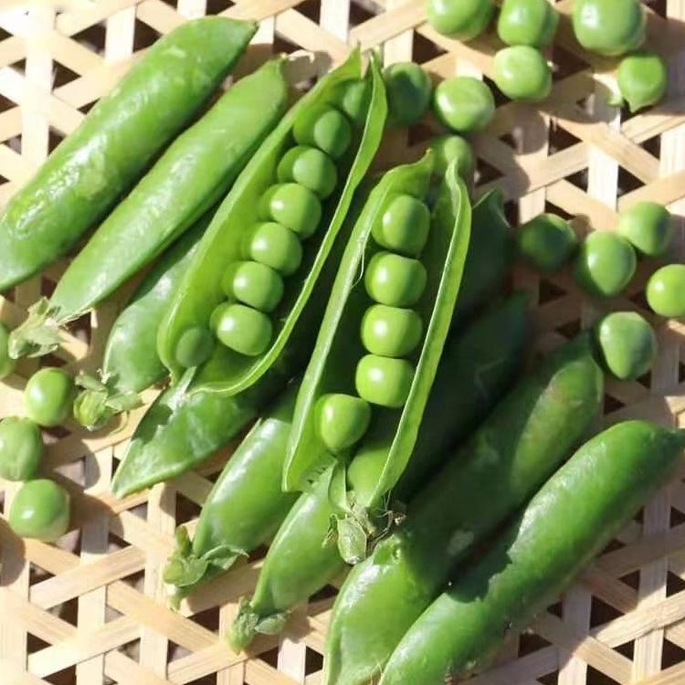 豌豆荚手机助手苹果版豌豆荚ios版立即下载