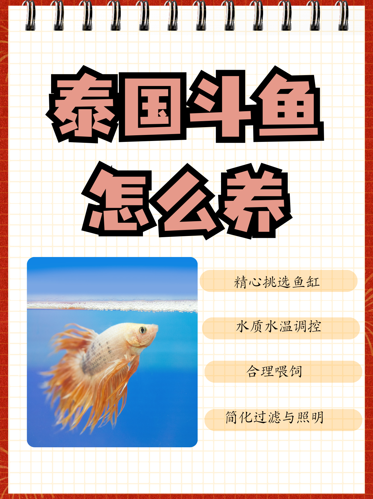 斗鱼客户端鱼粮斗鱼客户端全屏卡顿