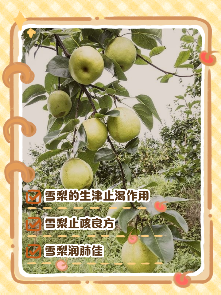 手机壁纸雪梨苹果版手机锁屏壁纸苹果唯美