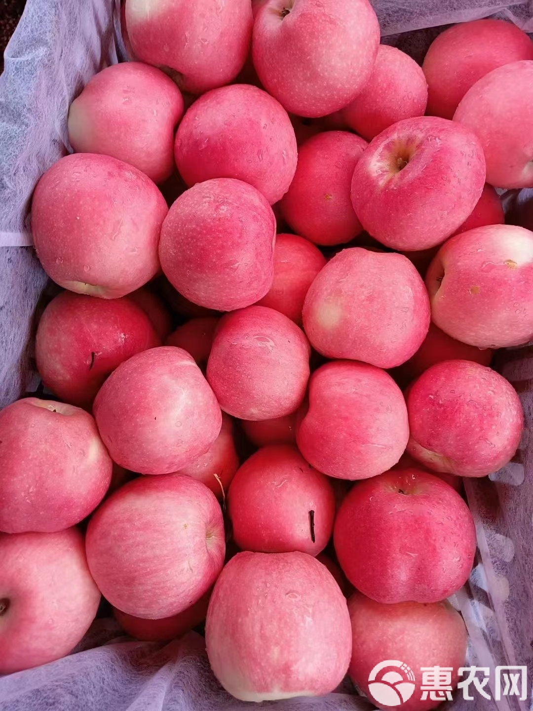 缅甸版苹果(缅甸apple)-第1张图片-QuickQ官网 缅甸版苹果(缅甸apple)-第1张图片-QuickQ官网