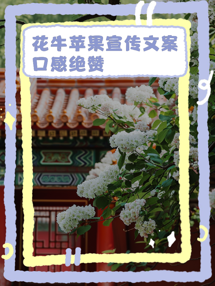 苹果版文案(ios15文案)-第5张图片-QuickQ官网 苹果版文案(ios15文案)-第5张图片-QuickQ官网