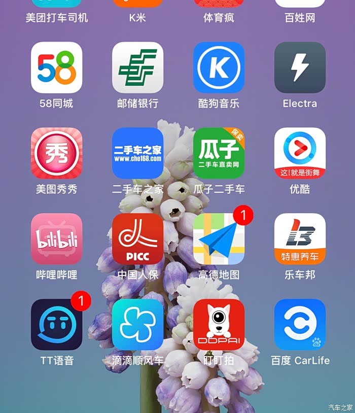 carlife破解版苹果版(carlifeex苹果破解版)