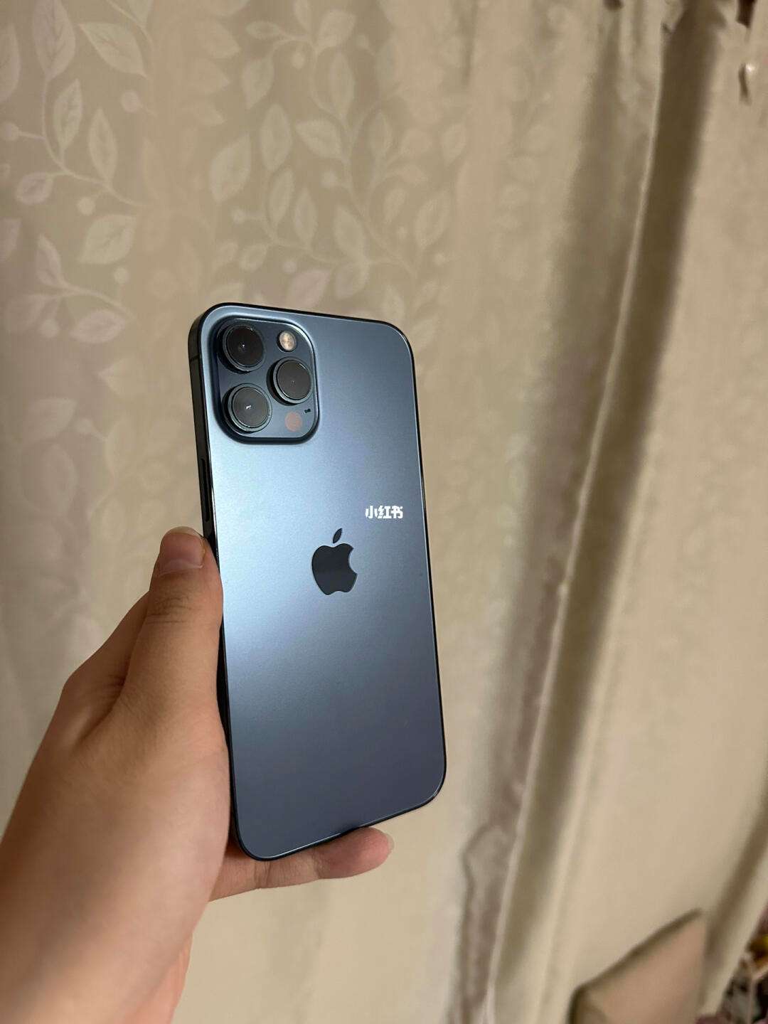 新加坡版苹果是什么版(新加坡版的苹果手机是怎么样的)-第4张图片-QuickQ官网