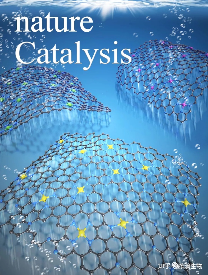 mathematica安卓手机版(mathematica安卓版app)-第3张图片-QuickQ官网