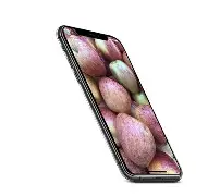 快乐水果狸手机版下载(被称为快乐水果的是什么)-第4张图片-QuickQ官网 快乐水果狸手机版下载(被称为快乐水果的是什么)-第4张图片-QuickQ官网